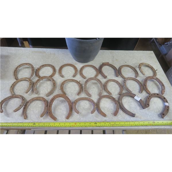 lot of horseshoes