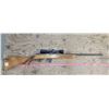 Image 5 : Lakefield Model 64B .22 Cal L.R. w/ Bushnell Sport Scope s/n: L081339