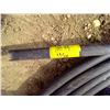 Image 2 : 1.25 ID black hose marked 100'
