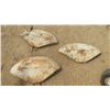 Image 1 : 3 Ford Tractor Fenders