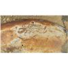 Image 3 : 3 Ford Tractor Fenders