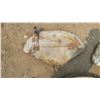 Image 5 : 3 Ford Tractor Fenders