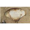 Image 7 : 3 Ford Tractor Fenders