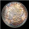 Image 2 : 1886-p Morgan Dollar $1 Graded ms64+ BY SEGS