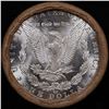 Image 3 : ***Auction Highlight*** 1885 & CC Uncirculated Morgan Dollar Shotgun Roll (fc)