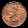Image 2 : ***Auction Highlight*** 1903 Indian Cent 1c Graded ms67 RB by SEGS (fc)