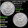 Image 1 : 1902-p Morgan Dollar Semi-PL $1 Grades Choice AU/BU Slider
