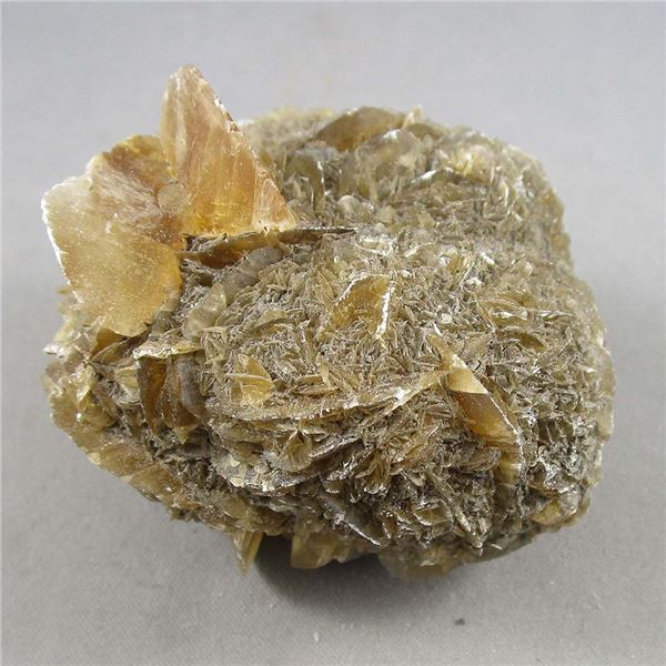 Manitoba Floodway Crystal Rose