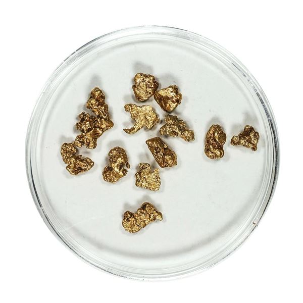Gold Nuggets 3.18 Grams Total Weight