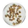 Gold Nuggets 4.91 Grams Total Weight