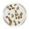 Image 1 : Gold Nuggets 3.49 Grams Total Weight