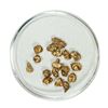 Image 1 : Gold Nuggets 2.91 Grams Total Weight