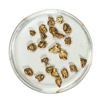 Image 1 : Gold Nuggets 3.40 Grams Total Weight