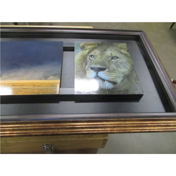FRAMED LION AND RHINO PICTURE