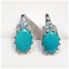 Image 1 : Silver Turquoise Earrings (~Size 0) (~length 0 inches), Suggested Retail Value $300
