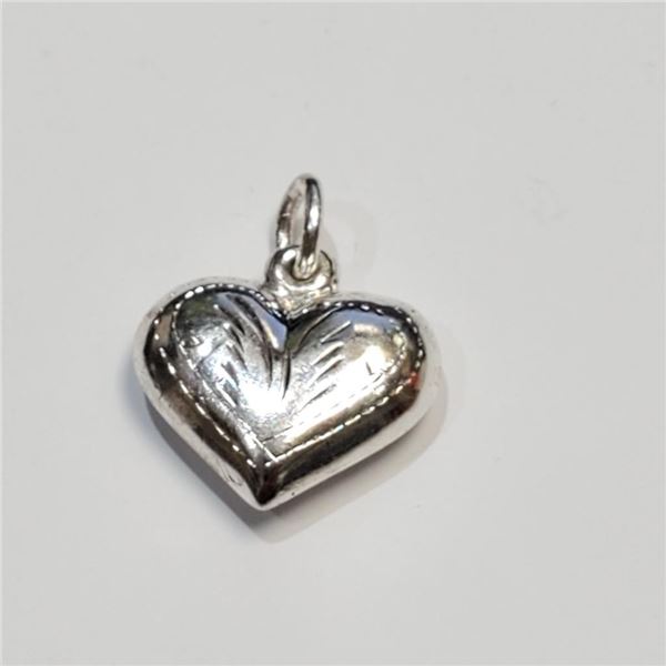 Silver Pendant (~Size 0) (~length 0 inches), Suggested Retail Value $60