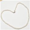 Image 2 : Silver Fresh Water Pearl Necklace (~Size 0) (~length 0 inches), Suggested Retail Value $200