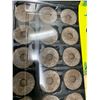Image 3 : Jiffy Professional Greenhouse (72 pods)
