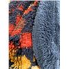 Image 3 : Pendleton Reversible  blanket