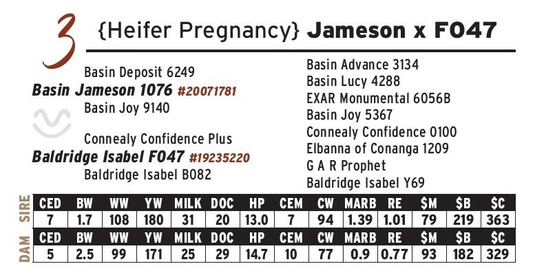 {Heifer Pregnancy} Jameson x F047