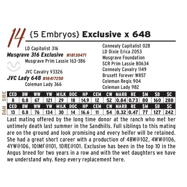 {5 Embryos} Exclusive x 648