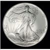Image 1 : 1992 American Silver Eagle