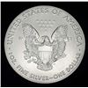Image 2 : 2020 American Silver Eagle