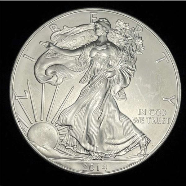2014 American Silver Eagle
