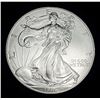 Image 1 : 1996 American Silver Eagle