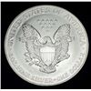 Image 2 : 1996 American Silver Eagle