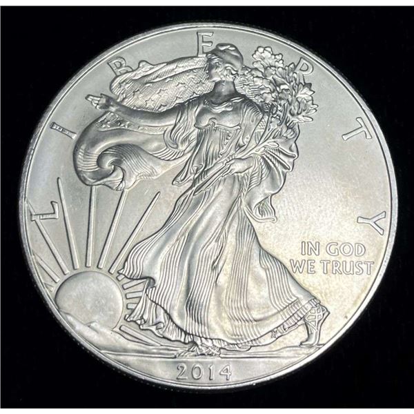 2014 American Silver Eagle
