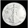 Image 1 : 1991 American Silver Eagle
