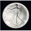 Image 1 : 1992 American Silver Eagle