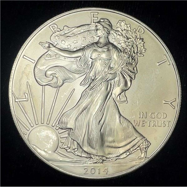 2014 American Silver Eagle