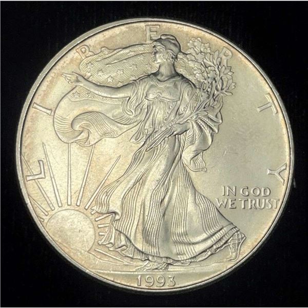 1993 American Silver Eagle