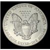 Image 2 : 1993 American Silver Eagle
