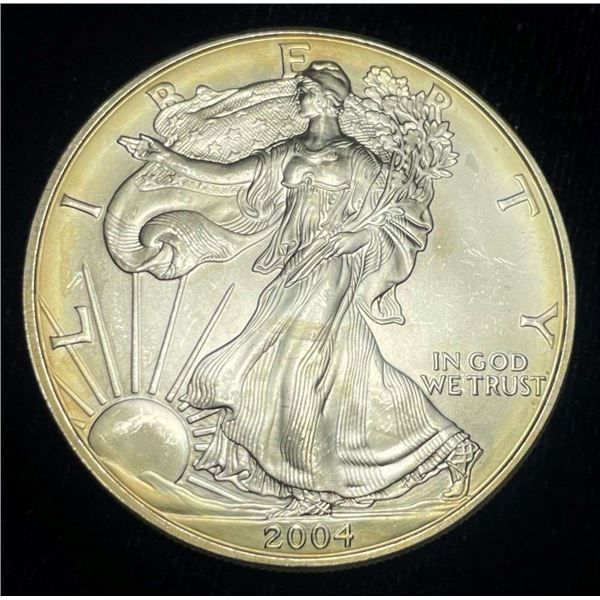 2004 American Silver Eagle