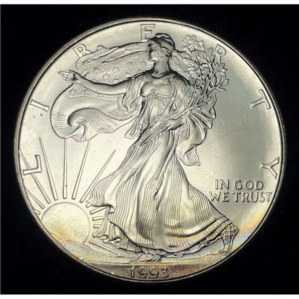 1993 American Silver Eagle