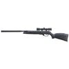 Image 1 : GAMO WILDCAT WHSPR .22 W/4X32