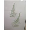 Image 2 : Qty 2 Leaf Artwork, Framed & Matted, 19"x25" (has faint brown spotting)