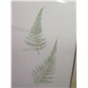Image 2 : Qty 2 Leaf Artwork, Framed & Matted, 19"x25"(has faint brown spotting)