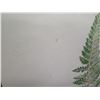 Image 8 : Qty 2 Leaf Artwork, Framed & Matted, 19"x25"(has faint brown spotting)