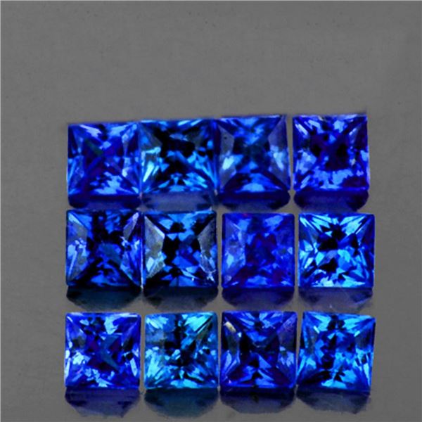 Natural Royal Blue Princess Sapphire 12 Pcs [Flawless-VVS]