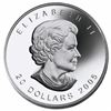 Image 2 : 2005 $20 Toronto Island Lighthouse - Pure Silver Coin, Stock Photo Used For Listing, Coin May Show S