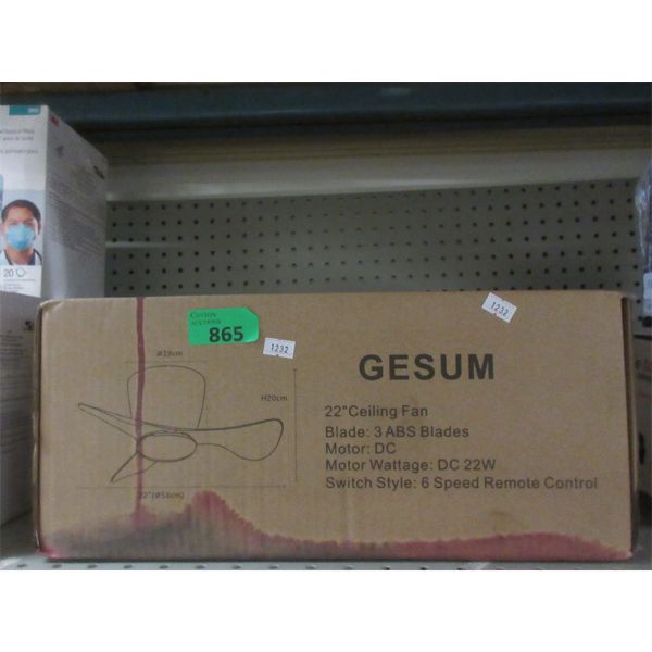 Gesum 22" Ceiling Fan 