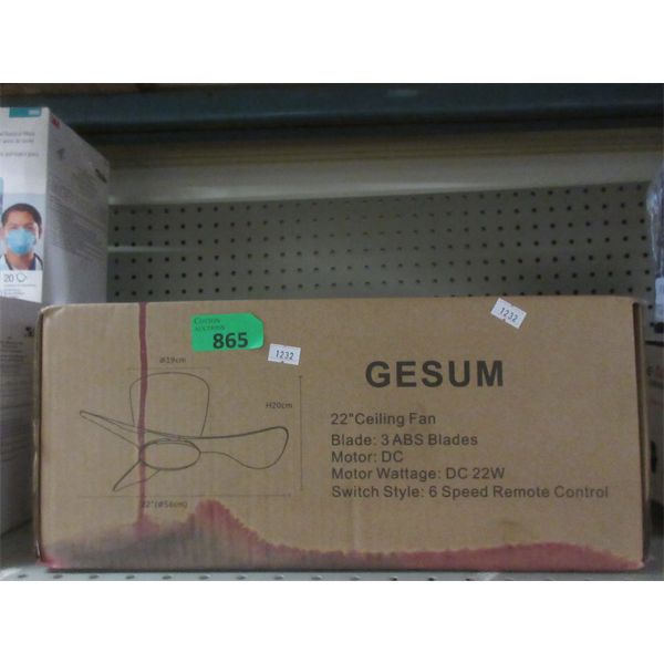 Gesum 22  Ceiling Fan 