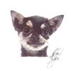 Image 1 : Artist John Krewal signed dog print