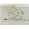 Image 1 : UNKNOWN RAW ROUGH WHITE ROCK