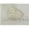 Image 2 : UNKNOWN RAW ROUGH WHITE ROCK
