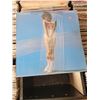 Image 1 : RANDOM LOT OF 25 RECORDS LOT 24